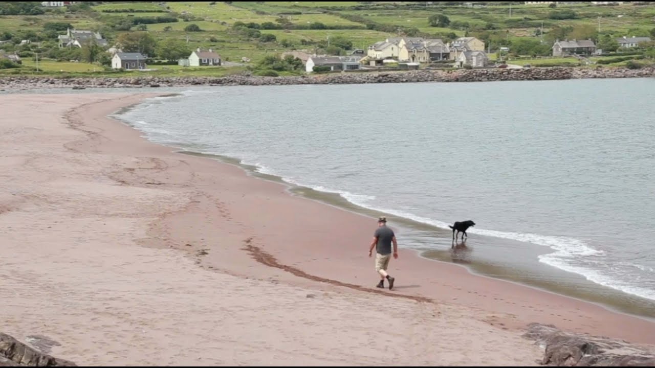 Interview with Niall Naessens