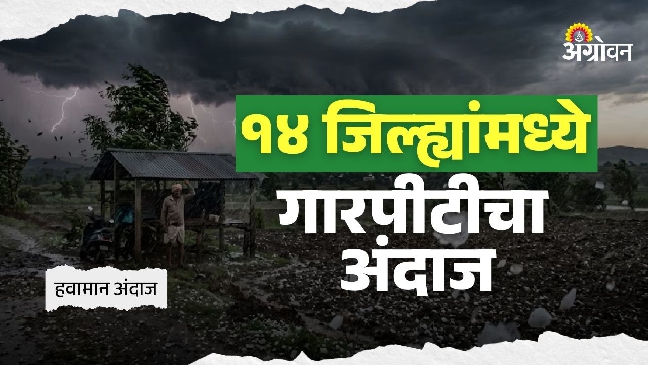 Maharashtra Hailstorm: राज्यात आज आणि उद्या पावसाचे प्रमाण अधिक राहण्याची शक्यता | Agrowon