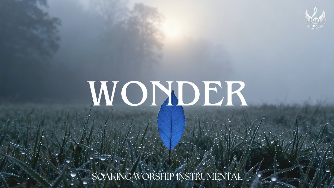 Wonder - Soaking Worship Instrumental | Prayer and Devotional