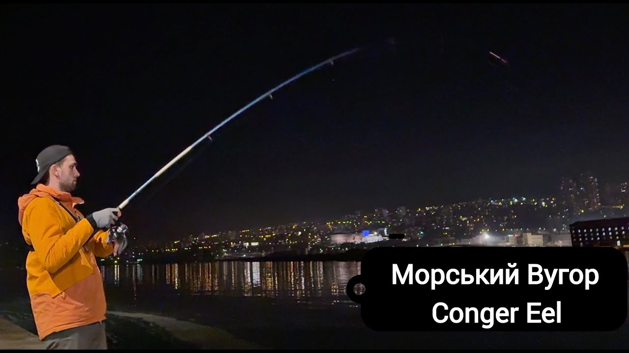 Нічна рибалка в Хорватії! Морський ВУГОР - як ловити вугора на морі? Conger Eel