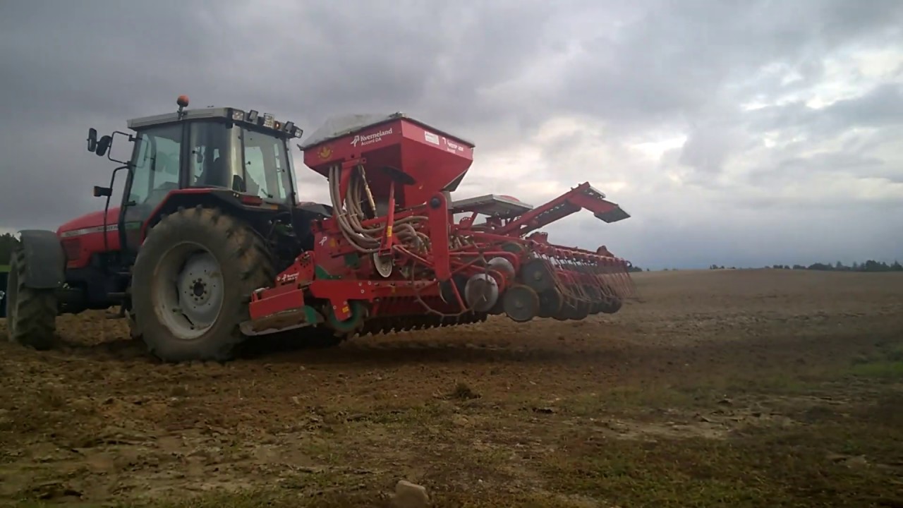 ★Siewy pszenicy 2019 ★Massey ferguson 6290,  kverneland★