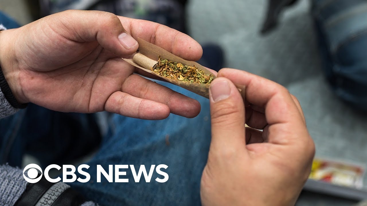 Higher rates of psychosis and other disorders linked to marijuana use, study finds