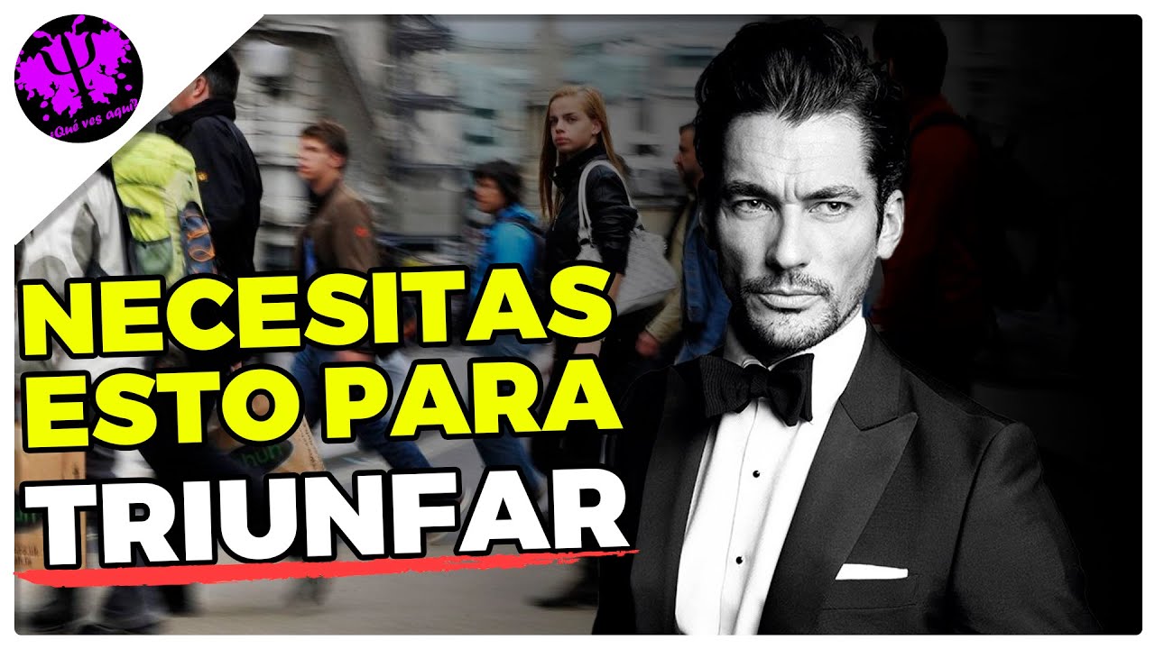 El ESTATUS es más Importante que la RIQUEZA 💰🎖 (Psicología Social del ESTATUS)