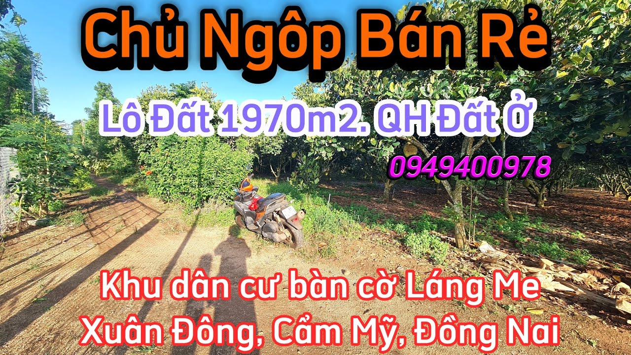 Lô Đất đẹp Quy hoạch đất ở 1970m2. Giá quá rê tại khu dân cư bàn cơ Láng Me, Xuân Đông, Đồng Nai
