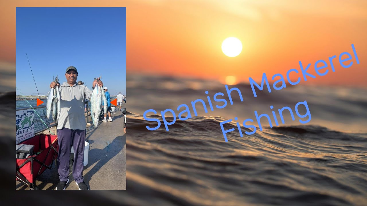 Spanish Mackerel fishing from Jetty