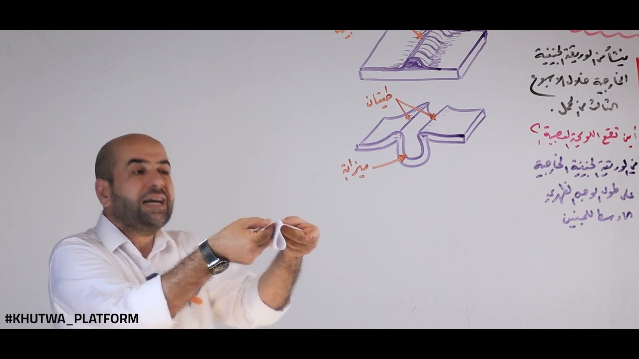 منشأ الجهاز العصبي || علم الأحياء || خطوة #education #science