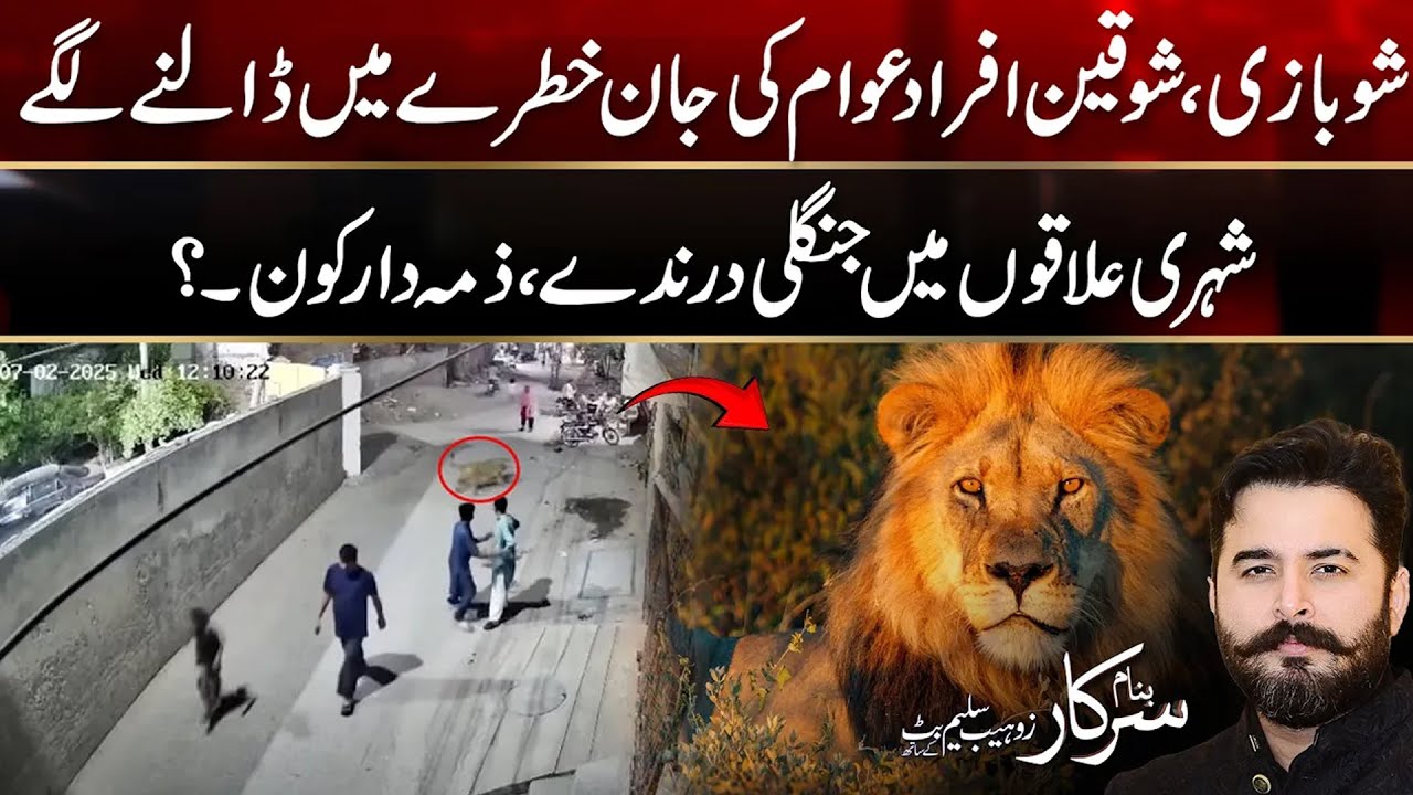 Lion Attack In Lahore - Citizens Hard Hitting Reaction - Banam Sarkar - 22 July 2025 | 24 News HD
