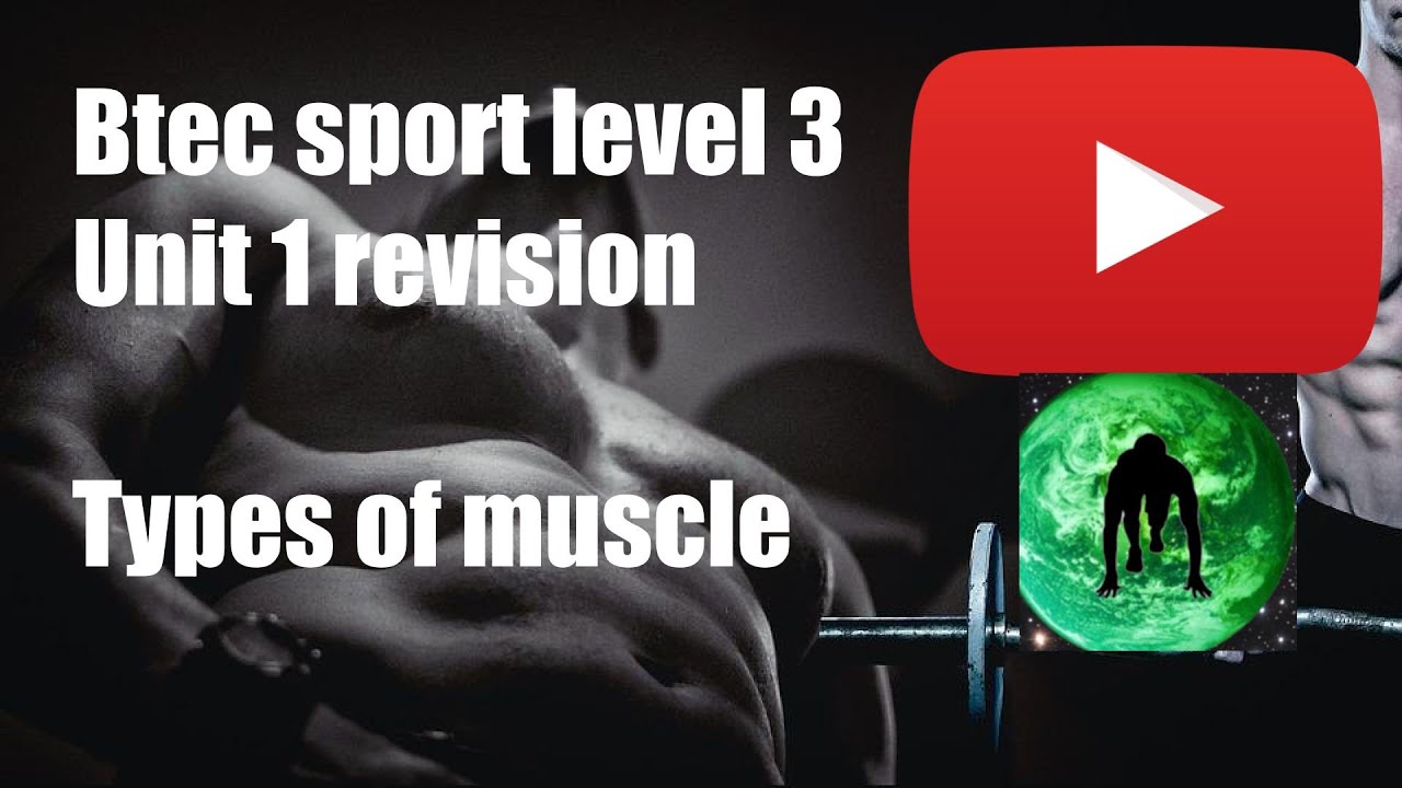 BTEC Sport Unit 1 Revision- Types of Muscles QUICK FIRE REVISION