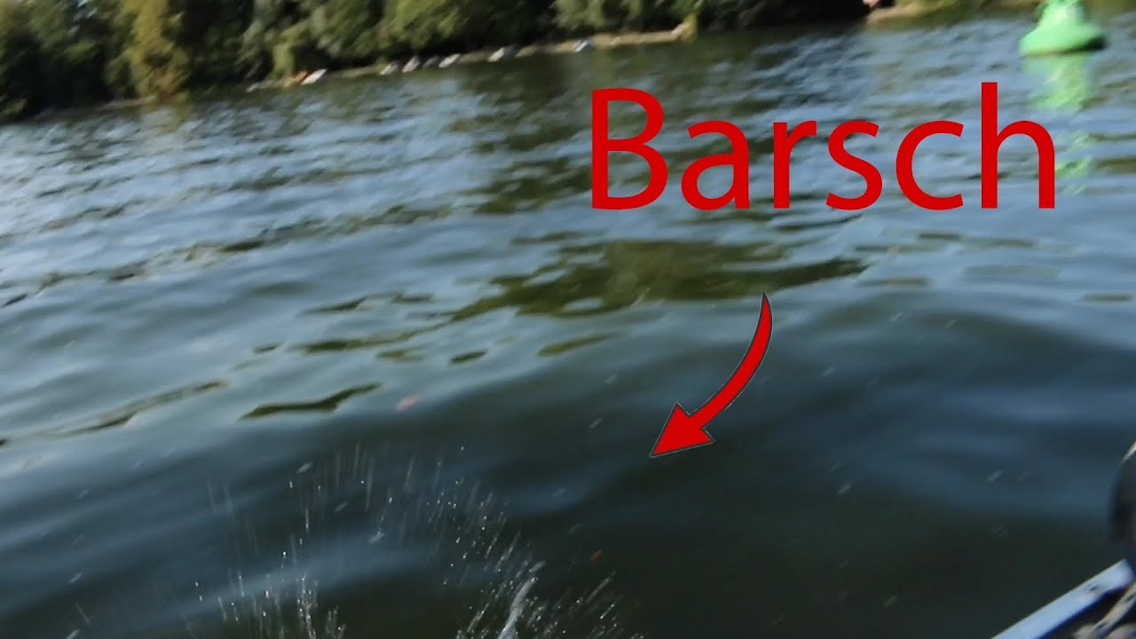 Angeljoe TV Folge 6 / Barschangeln in der Spree