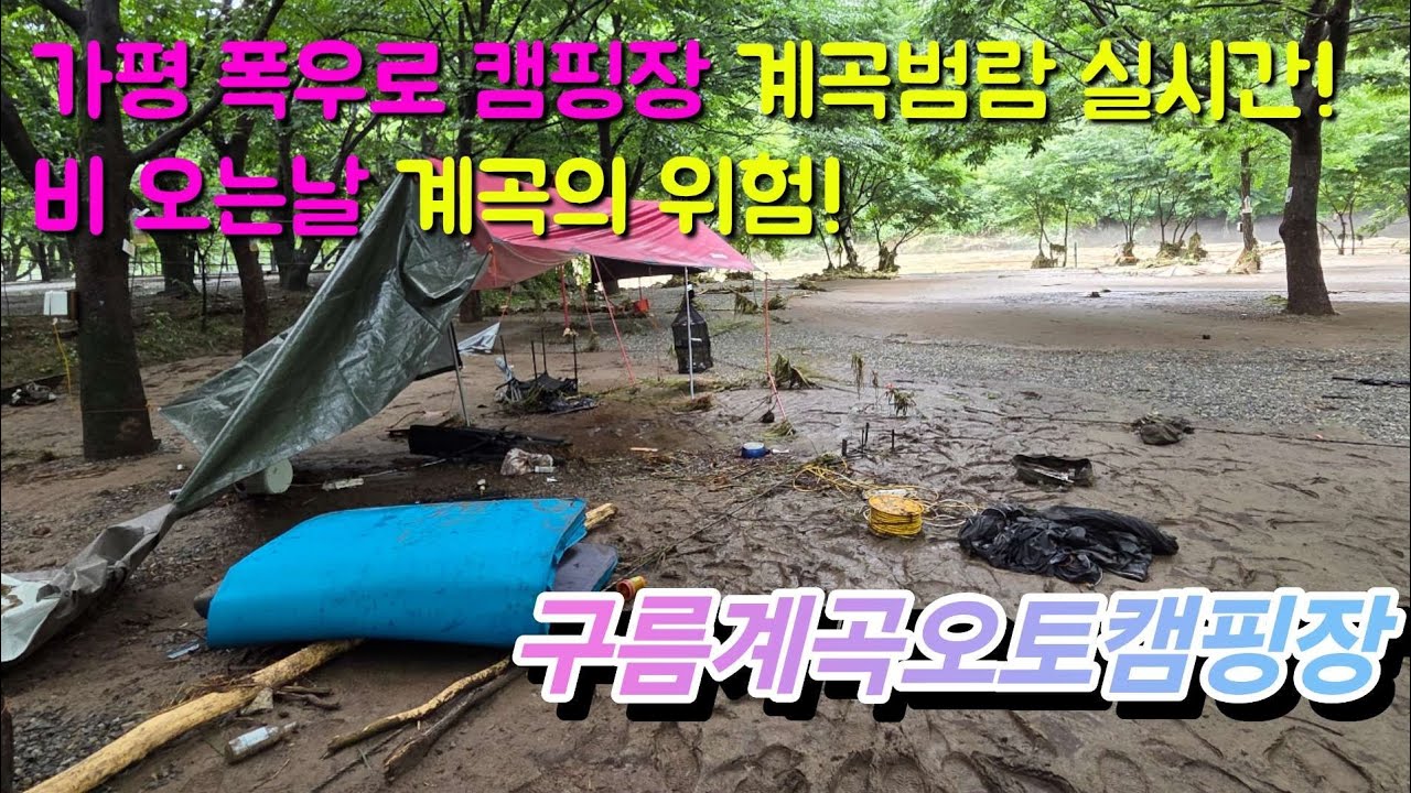 가평 폭우로 캠핑장 계곡 범람 실시간! 비오는날 계곡의 위험! 구름계곡오토캠핑장