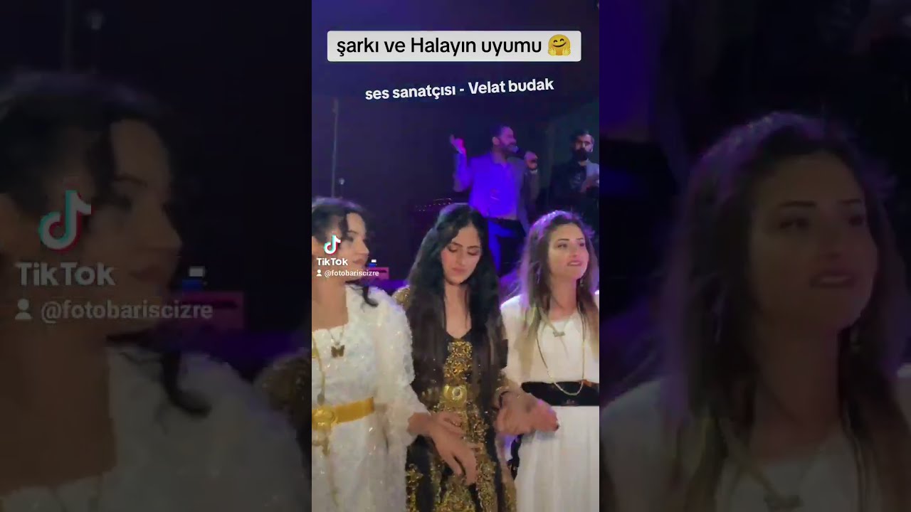 VELAT BUDAK VAN SES SANATÇISI