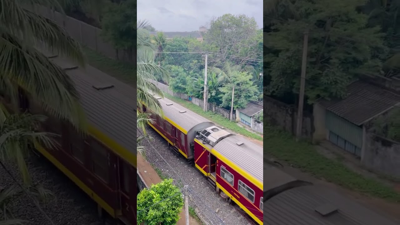 Train 