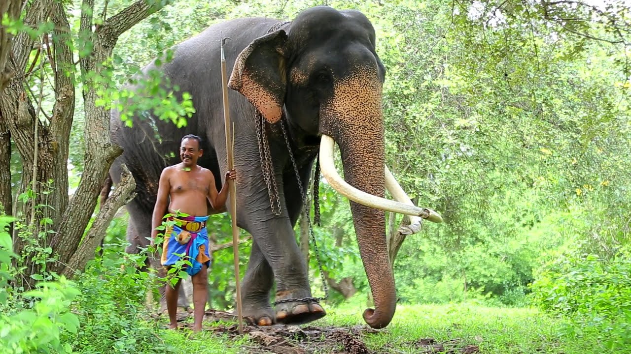 Wasana with Ajith Mama කොහොමද ලස්සන | Kataragama Wasana