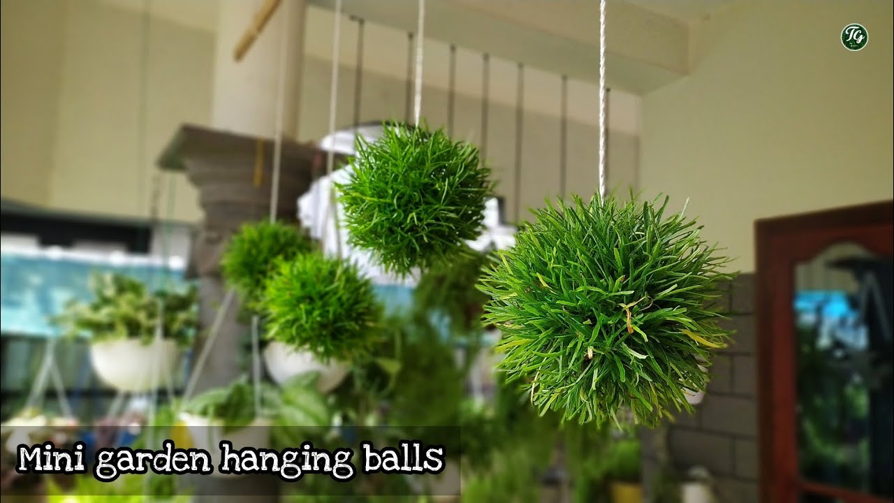 Mini hanging balls | easy garden hanging ideas | easy garden techniques