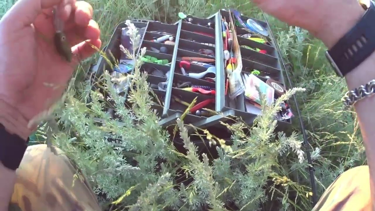 Рыбалка на Топольном