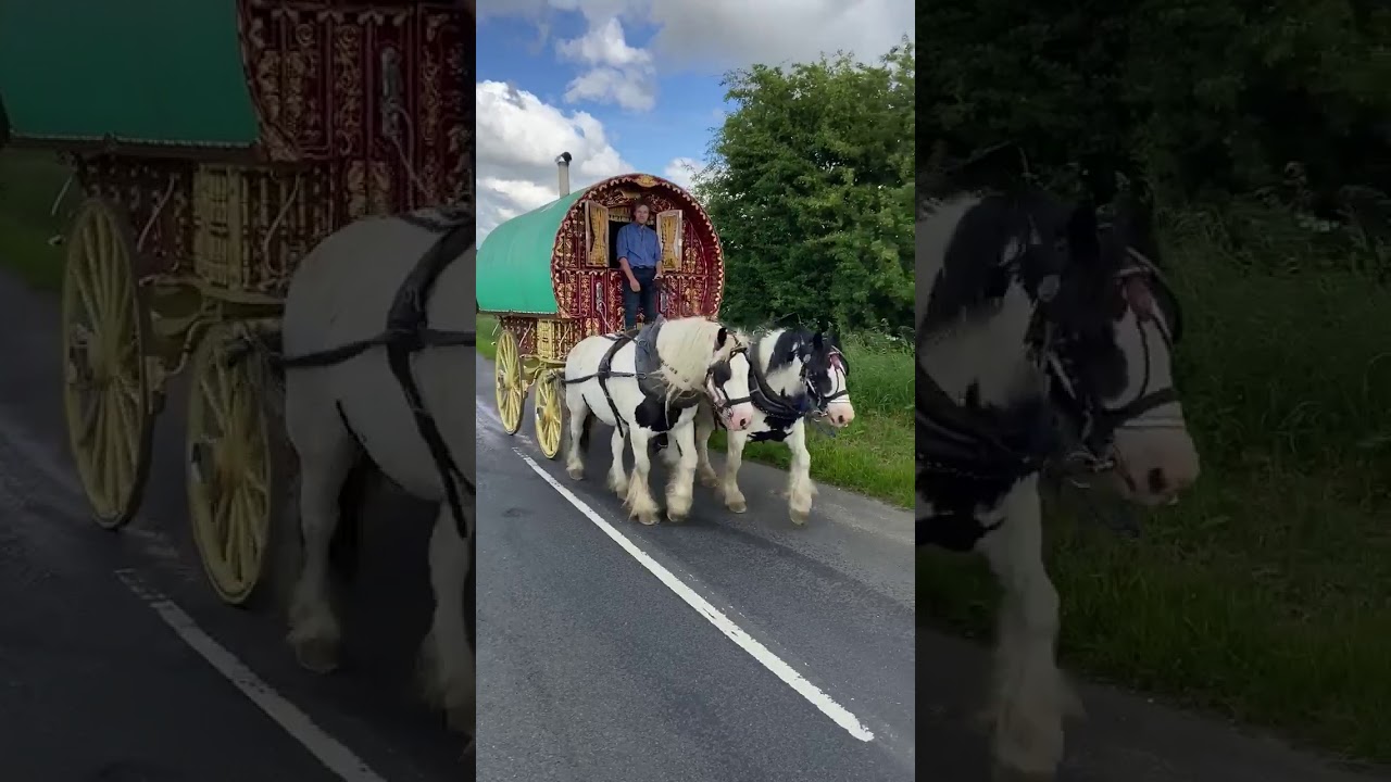 gypsy wagon on the road