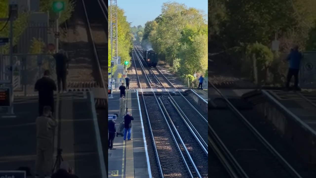 60103 'Flying Scotsman' passing Holton Heath, SWML (18/10/22)