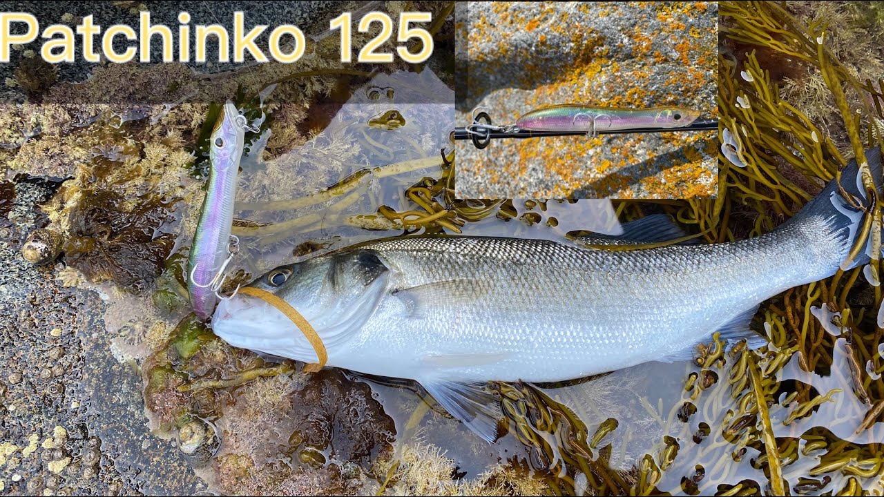 Bass fishing on lures patchinko 125#bass#patchinko#fishing