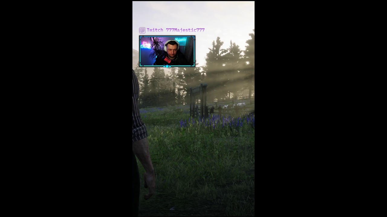 RDR 2
