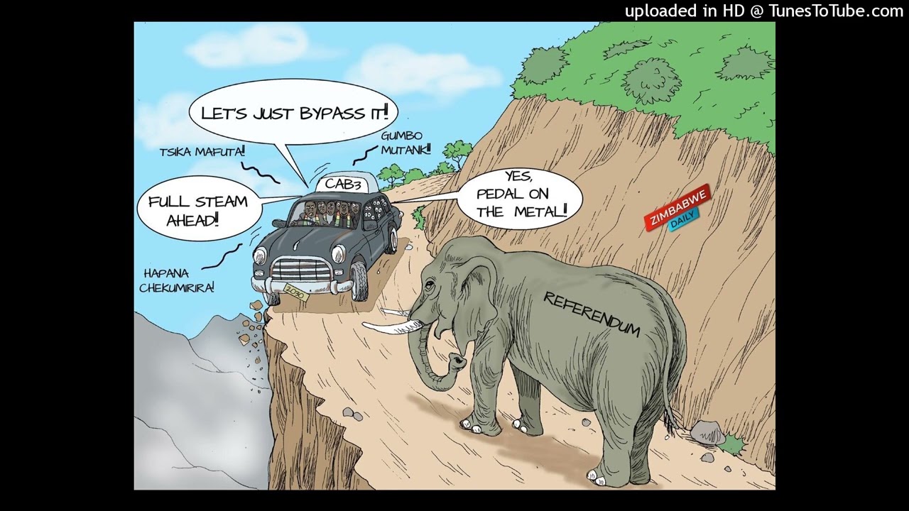 ED atambira Zimbabwe bird. Makereke aramba #CAB3. Mthuli ani muyembe unokokora