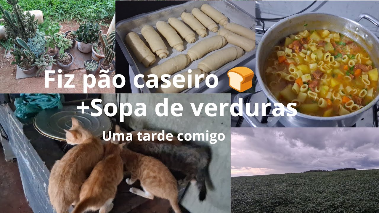 FIZ PÃO CASEIRO 🍞 + SOPA DE VERDURAS+PLANTINHAS+HORTA EM CASA 🏠 VEM VER 