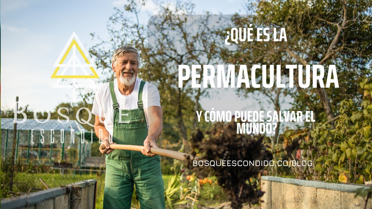 ¿Qué es la permacultura?