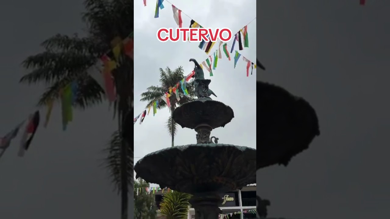 13 de febrero de 2026
