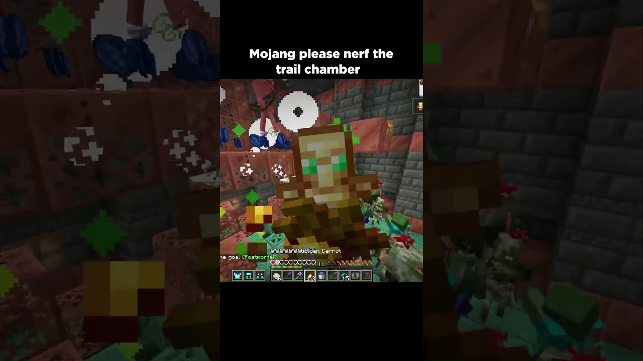 mojang please nerf the trail chamber #usa