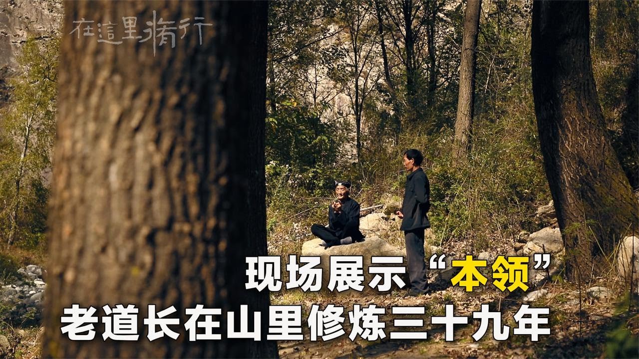 在神秘的终南山里 有一位老道长修炼了三十九年，现场展示本领…#原创视频  #拍出电影感 #秋天