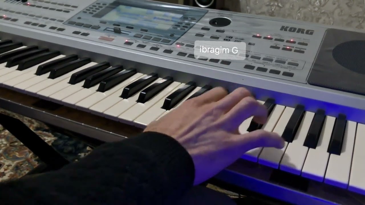 KORG PA 50 SD