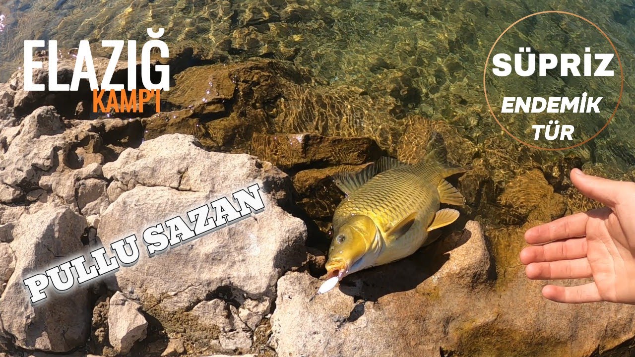 Keban'ı SAZANLAR BASMIŞŞ !!! 2 gün 1 gece kamp ...
