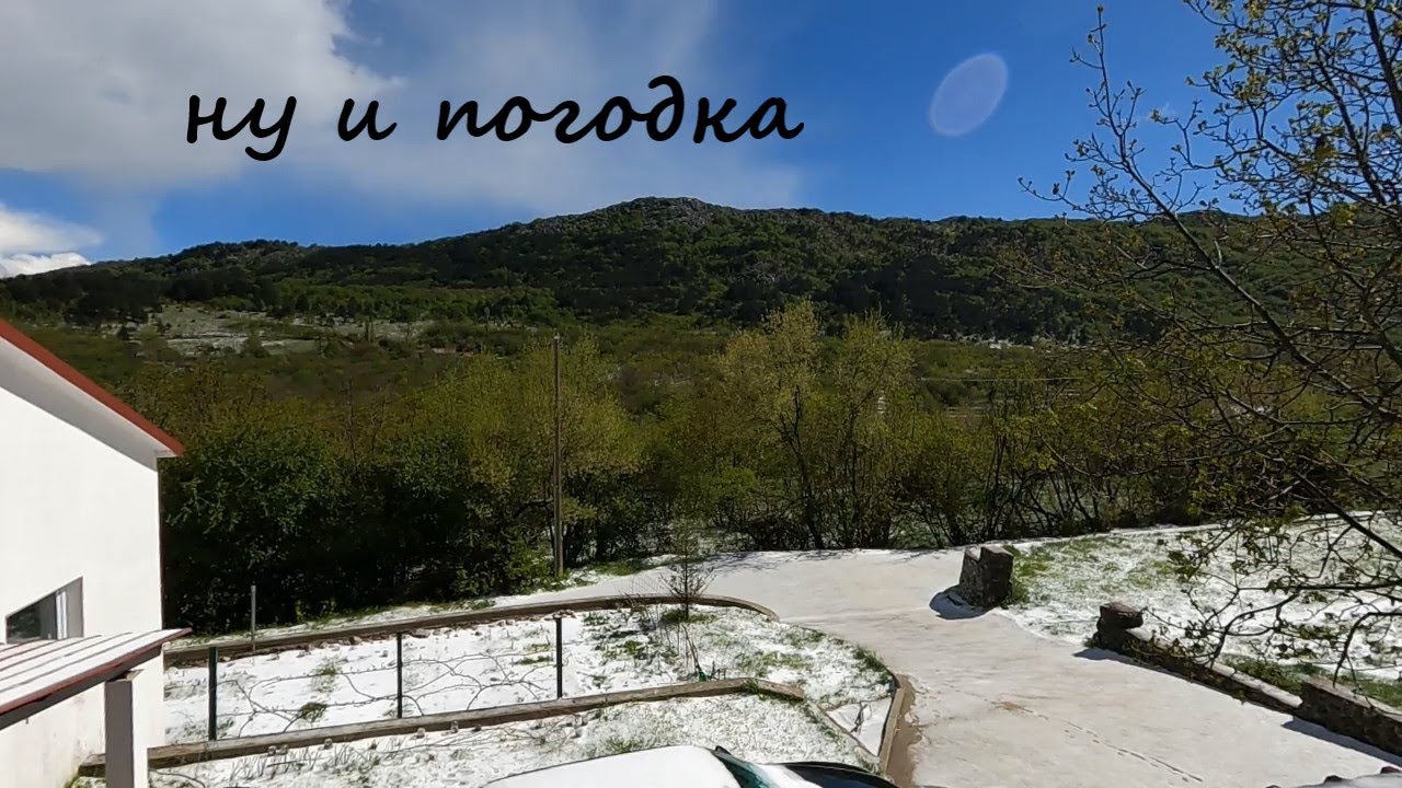 Погода в Черногории и кошек немножко