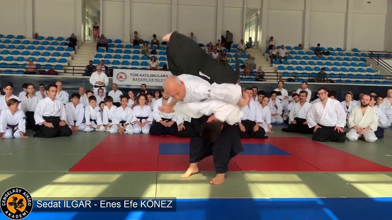 Gyaku Hanmi Katetedori (Junte) Jiyu Waza | Yetişkin Aikido | Genç Aikido |