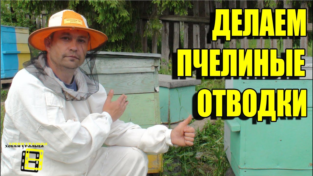 ДЕЛАЕМ ОТВОДКИ ПЧЕЛ-МЕРА ПРОТИВ РОЕНИЯ И ВАРИАНТ УВЕЛИЧЕНИЯ ПАСЕКИ. ЛЮБИТЕЛЬСКОЕ ПЧЕЛОВОДСТВО С 