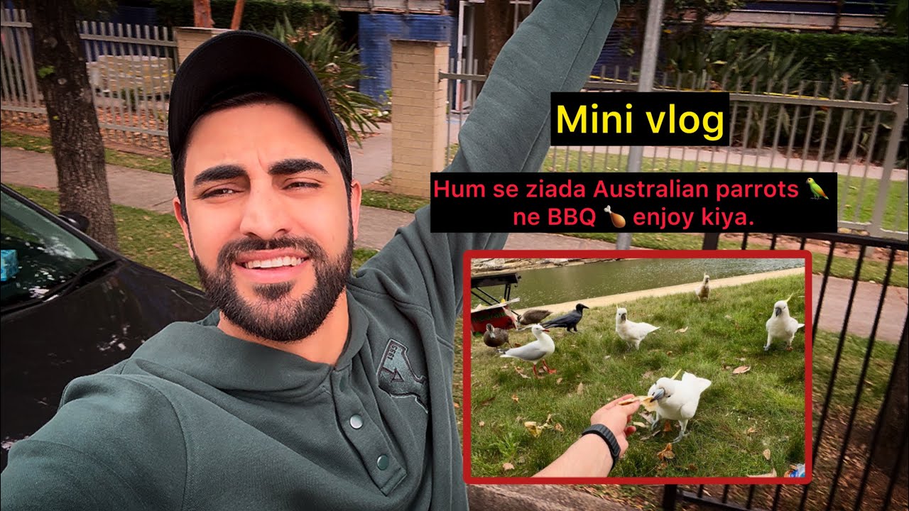 Mini vlog | Sudden BBQ plan | Australian parrots | Royal National Park | Sydney | Wisal Haider