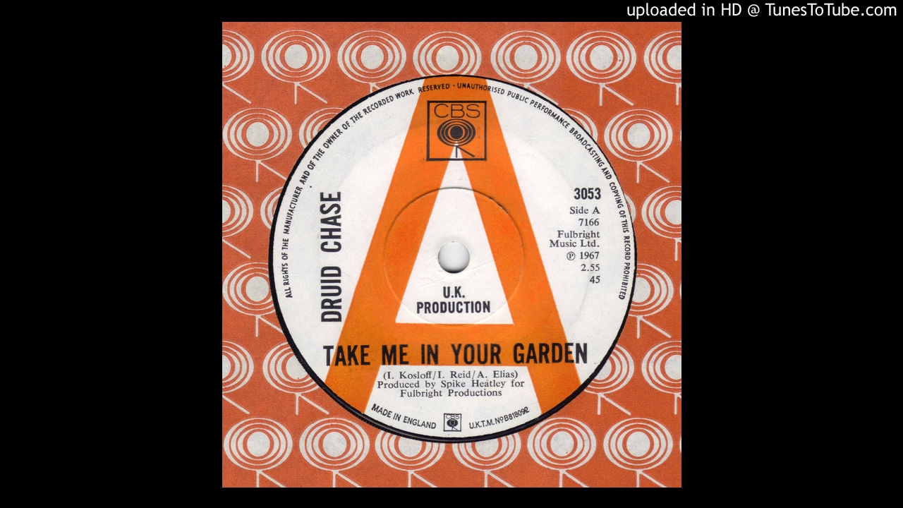Druid Chase - Take Me In Your Garden