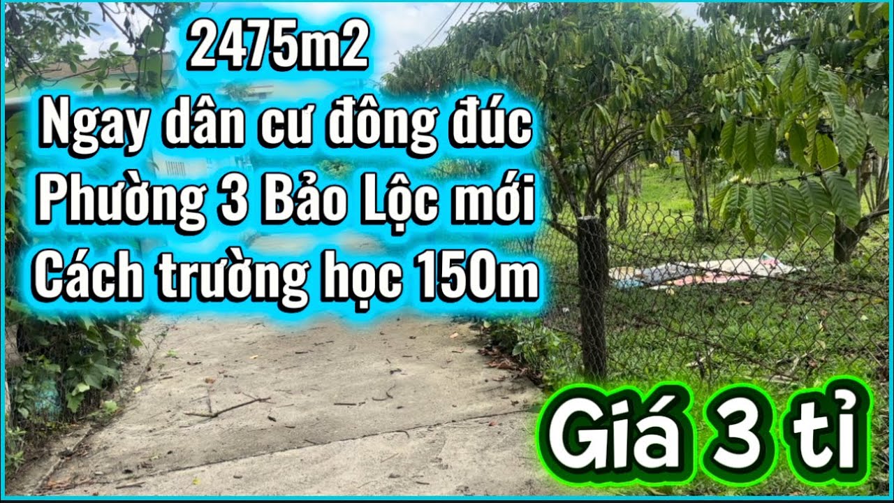 Đất sào nghỉ dưỡng ngay trường học, dân cư. Thuộc xã Đại Lào( phường 3 Bảo Lộc mới )2475m2 giá 3 tỉ