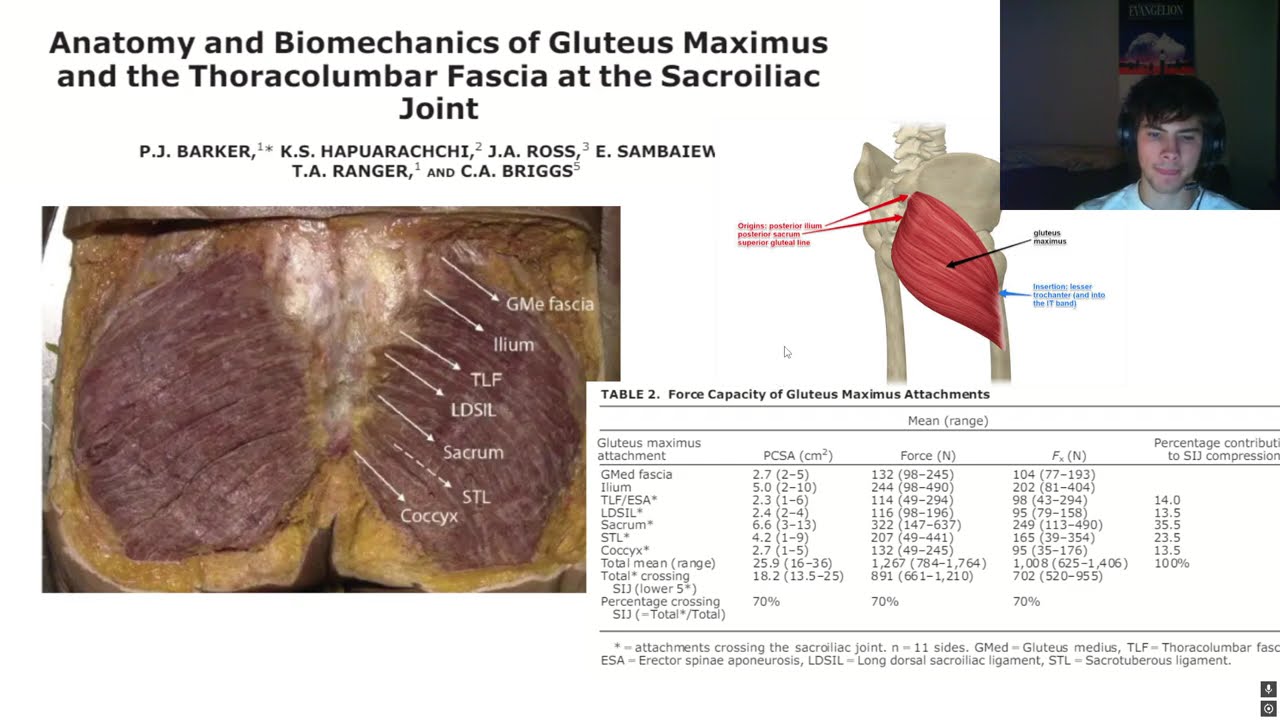 HOW TO GLUTESMAXX