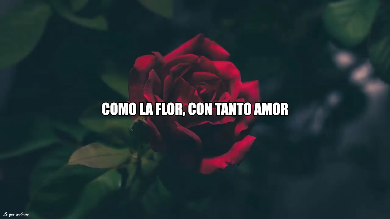 Como la flor - Ángela Aguilar (Karaoke)