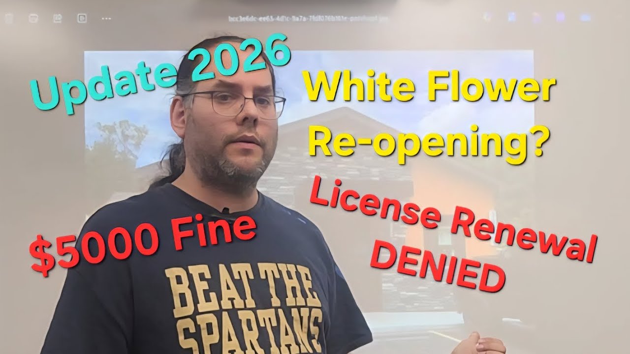 Открытие White Flower Cannabis Co. повторно? Обновление в 2026 году. #michigan #whiteflower #pots...