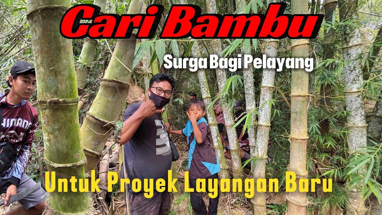 PILIH SEPUASNYA BERBURU BAMBU BAHAN UNTUK LAYANGAN 