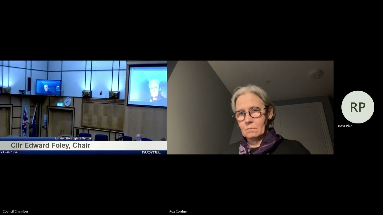 Overview & Scrutiny Committee Call in New 21 January 2026