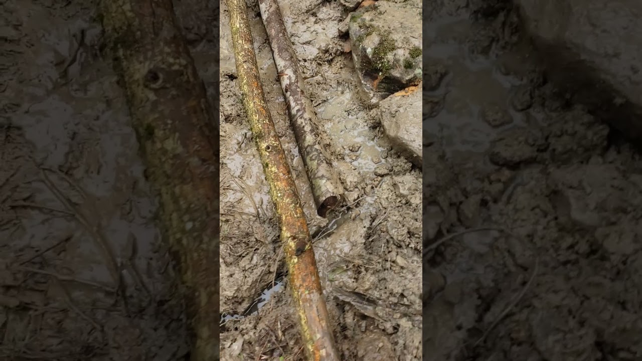 Trail building and maintenance is all about water management