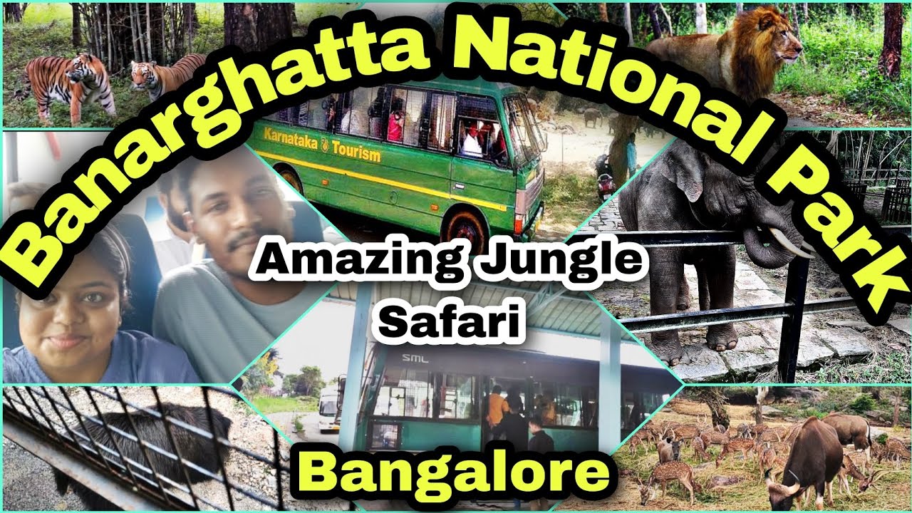 Bannerghatta National Park Safari 🐯🚌 | Bangalore Zoo & Wildlife Experience | Travel Vlog