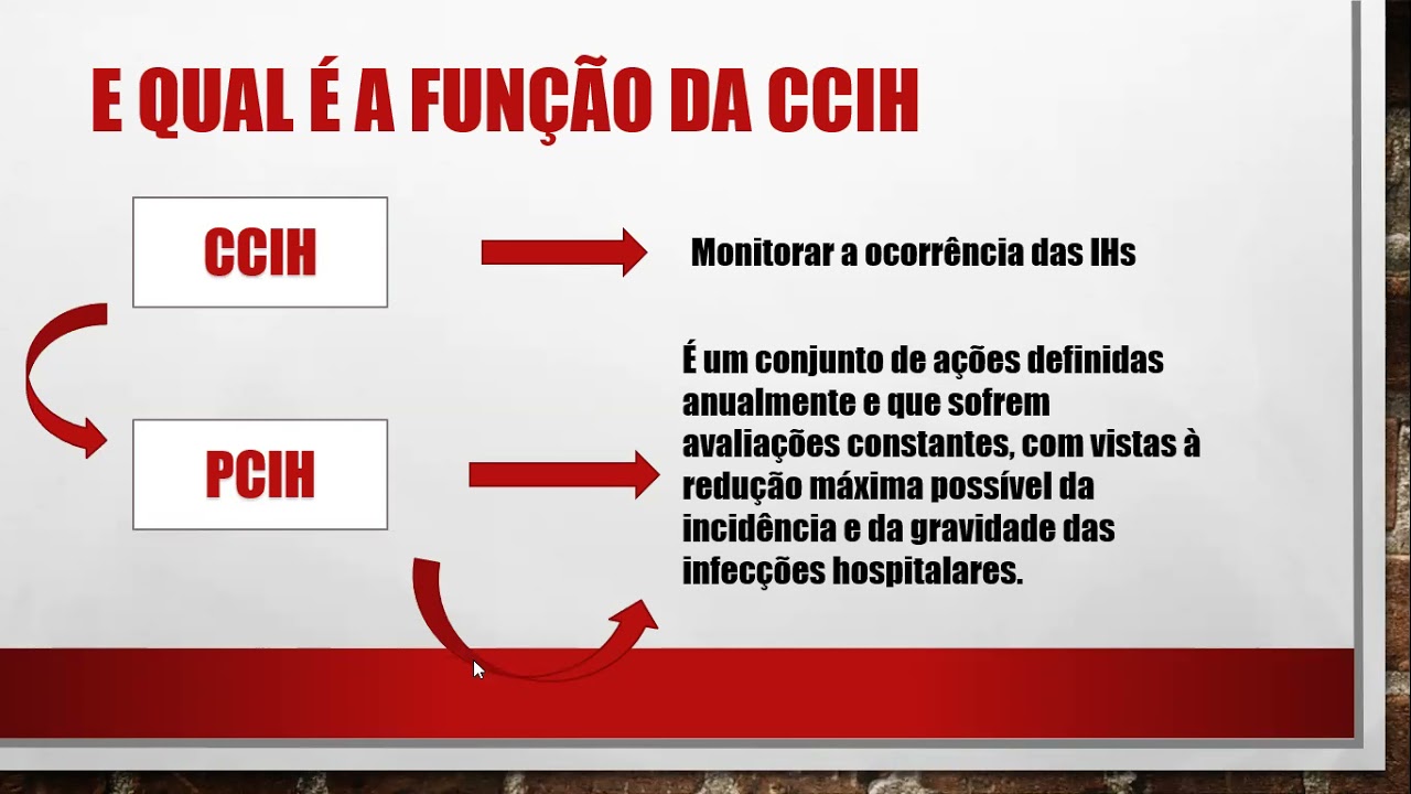 Infec&ccedil;&atilde;o hospitalar e CCIH