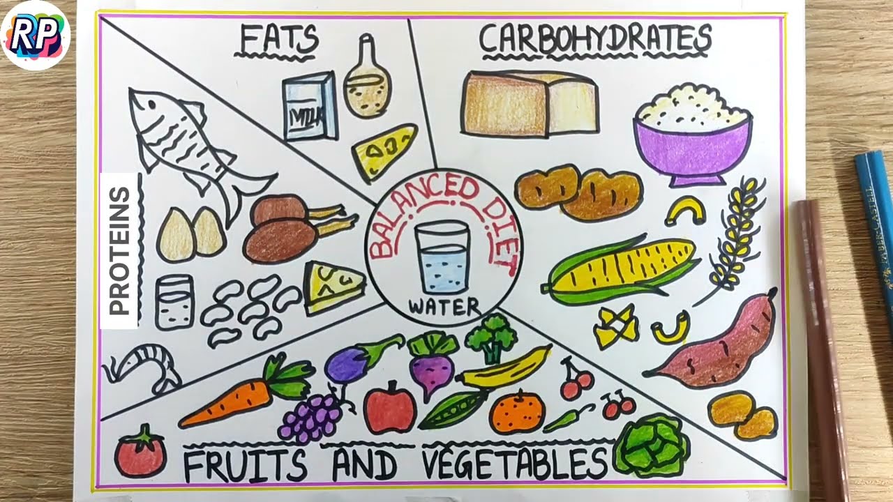 Balanced diet drawing| Healthy food drawing| Easy Food chat Drawing| Easy balanced diet for kids
