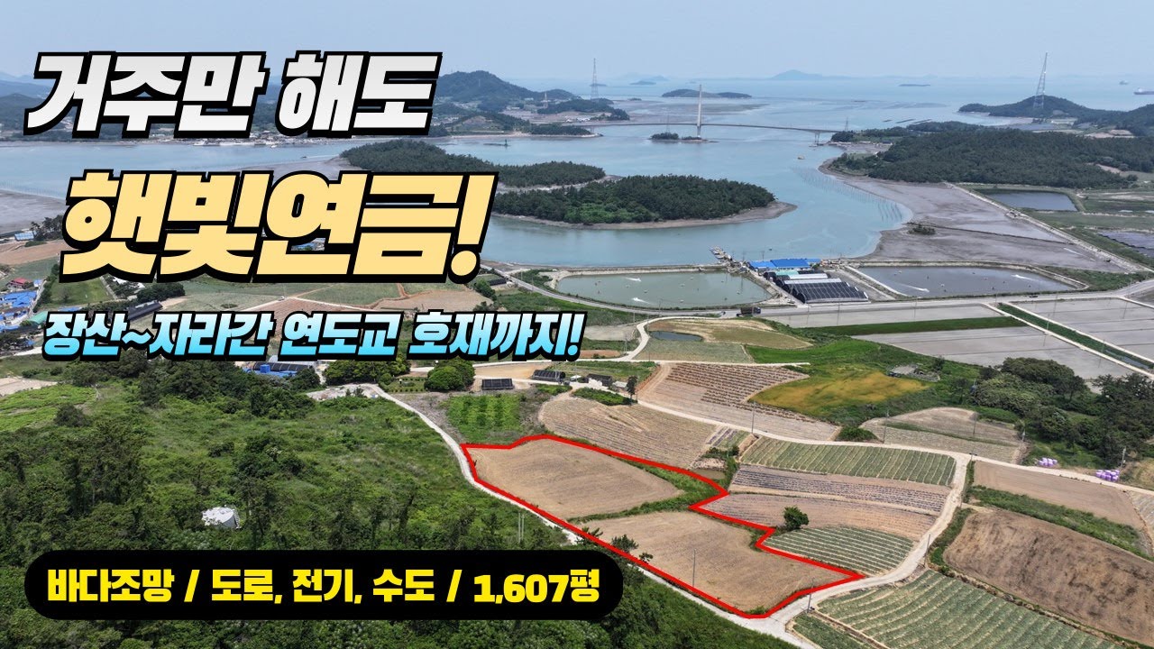 [목포토지사랑 322] 햇빛연금 받는 신안 안좌면 자라도 1,607py 매매 / 장산~자라간 연도교 착공 수혜지역 / 바다조망, 도로, 전기, 수도 / 매매가 2억원