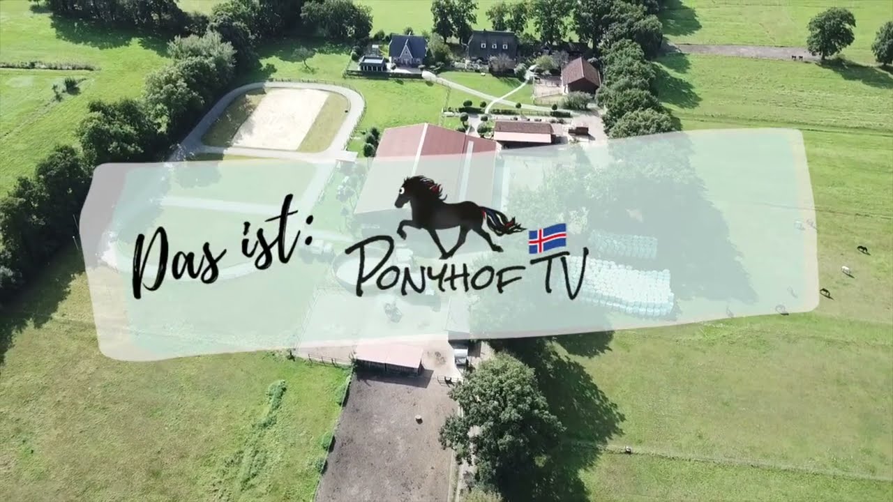 Das ist Ponyhof TV - unser Leben mit Islandpferden