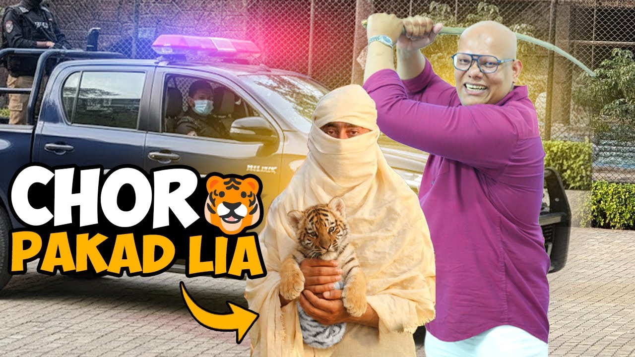 Tiger Chor Pakar Liya 😱🐯 | Rare Tiger Cub Mil Gaya | BT Farm Stories