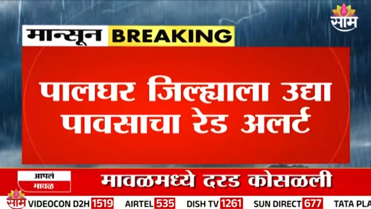 पालघरला उद्या रेड अलर्ट, शाळा- महाविद्यालयांना सुट्टी जाहीर | Palghar Rain Alert